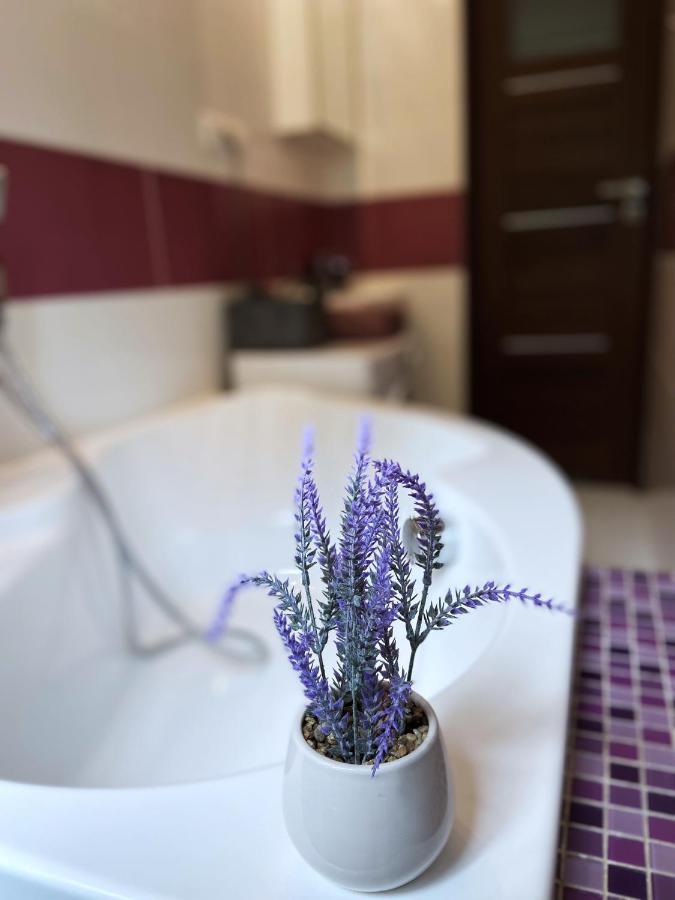 Comfort Apartment 2 Rooms 65M2 Варшава Экстерьер фото